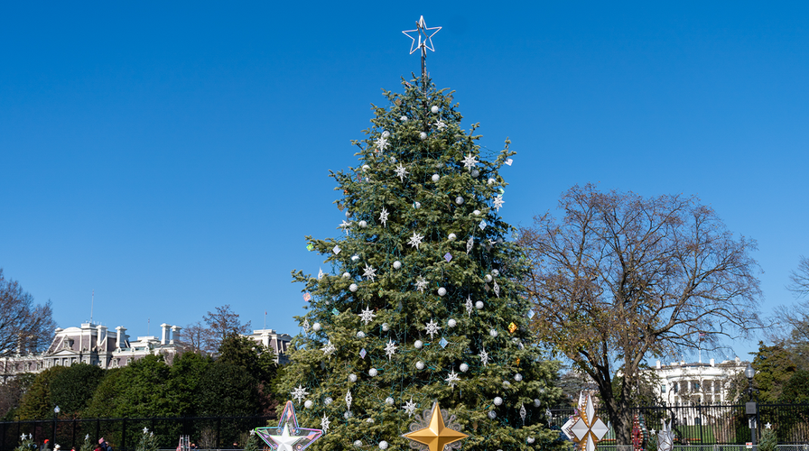 WATCH LIVE: President Biden delivers remarks at the National Christmas tree lighting 