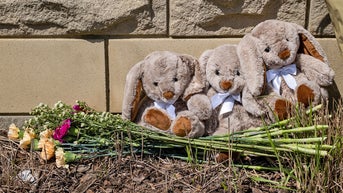 bunnies