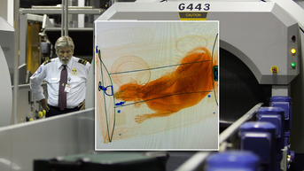TSA checkpoint X-ray machine accidentally scans traveler's pet left in carrying case