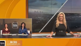 Meteorologist who collapsed on live TV reveals what happened - and sends warning to viewers