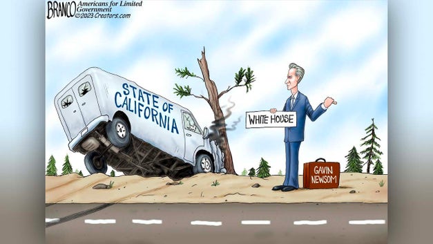 Political cartoons of the day