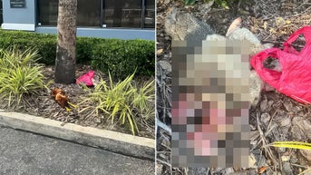 Pro-life Catholic pregnancy center targeted with gruesome 'ritualistic attack'