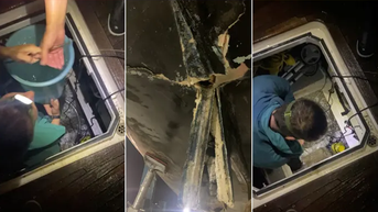 Killer whales damage boat in latest attack off Spain