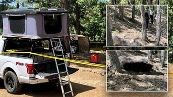 Unprovoked black bear kills man enjoying morning coffee, leaving police dumbfounded