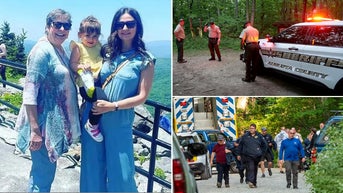 Prominent family lose daughter, grandchild in crash after plane entered restricted DC airspace