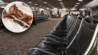 Hawaii's biggest airport shuts down several gates after stomach-churning discovery
