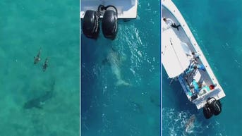 Fishing boat seen 'shaking like an earthquake' as underwater predator pounces