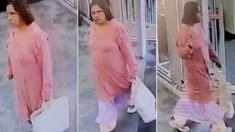 Search on for suspect who robbed store, hit officer with car