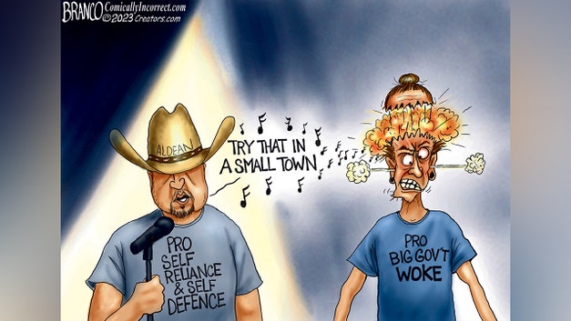 Political cartoons of the day