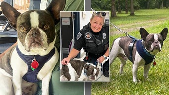 Woman charged after allegedly ditching dog at airport before international vacation