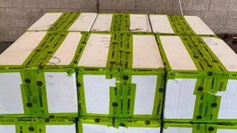 CBP officers seize ‘meth veggies’ worth more than $4 million