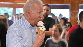 Ice cream truck owners revolt over blue city's 'ridiculous' crack down on summer fun