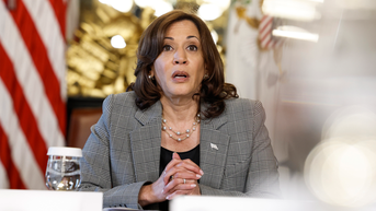 VP Harris ruthlessly mocked over latest word salad about community banks