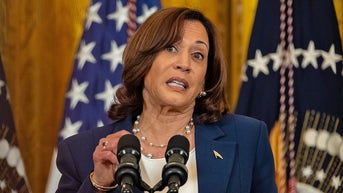 Kamala Harris' latest gaffe is more proof American families are in deep trouble