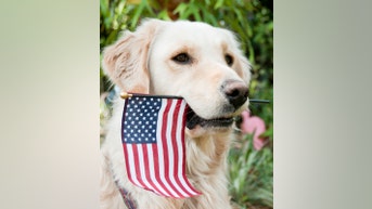 Preparing for AMERICA'S 250th birthday