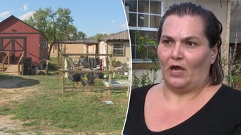 Frightened family members are 'prisoners in their own home' — because of pig running hog wild