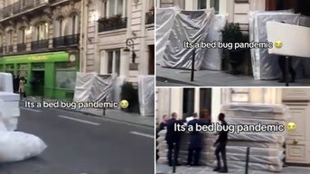 Piled-up mattresses fill streets as blood-sucking infestation takes over tourist hot spot