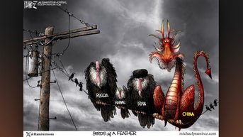 Political cartoons of the day