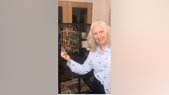Escaped PARROT found 30 mi. away
