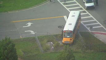 High school senior struck and killed by school bus in crosswalk