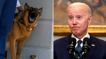 White House staff speak out about Biden's dog Commander after eleventh biting incident