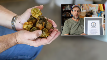 New hottest chili pepper crowned