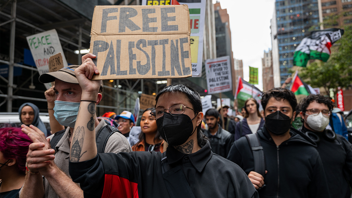 NYC Palestine protest