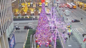 The All-American Christmas tree brings holiday cheer to Fox Square