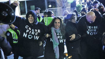 Democrat says violent pro-Palestinian DNC protest 'rattled' her more than Jan. 6 riots