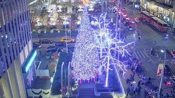 The All-American Christmas tree brings holiday cheer to Fox Square