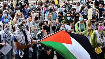 Former diplomat says 'pro-terrorist' mobs are undermining Israel and Western values