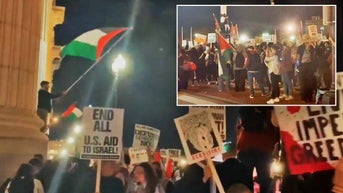Pro-Palestinian protesters swarm DC's Union Station and New York's Penn Station