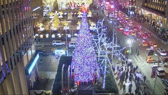 The All-American Christmas tree brings holiday cheer to Fox Square