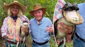 Half-mouthed alligator has had a 'wild ride' since arriving to Gatorland