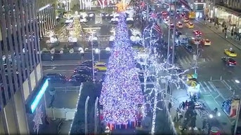 The All-American Christmas tree brings holiday cheer to Fox Square