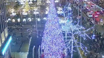 The All-American Christmas tree brings holiday cheer to Fox Square