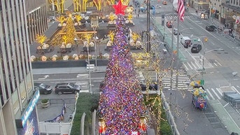 The All-American Christmas tree brings holiday cheer to Fox Square