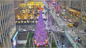 The All-American Christmas tree brings holiday cheer to Fox Square