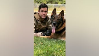 Dog REUNITED with former handler