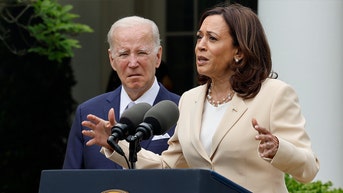 Harris reportedly at odds with Biden over Israel-Hamas war