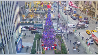 The All-American Christmas tree brings holiday cheer to Fox Square