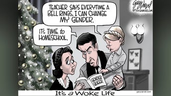 Political cartoons of the day