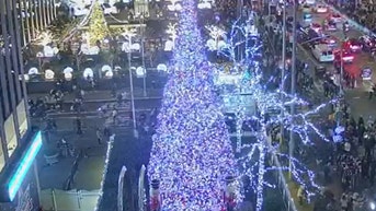 The All-American Christmas tree brings holiday cheer to Fox Square