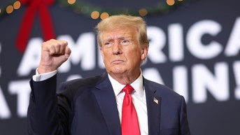 Trump tears into his enemies, tells opponents to 'rot in hell' in Christmas message