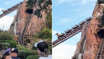 Disney World guests stranded on steep incline after roller coaster stops unexpectedly