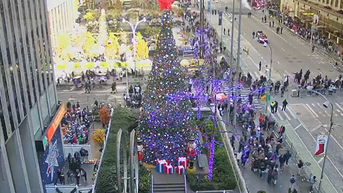 The All-American Christmas tree brings holiday cheer to Fox Square
