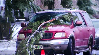 Teen, 2 adults electrocuted after live power line falls on SUV during ice storm