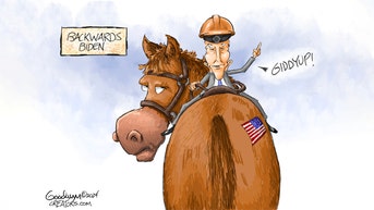 Political cartoons of the day