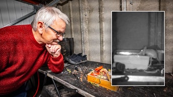 Rodent caught on camera cleaning up man's shed in the middle of the night