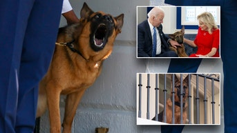Biden dog given the boot after attacking Secret Service agents 24 times
